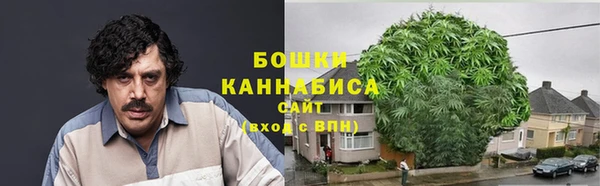 шишки Балахна